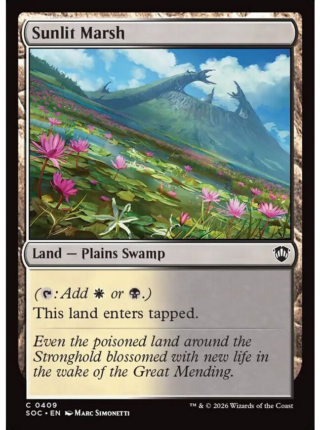 Sunlit Marsh