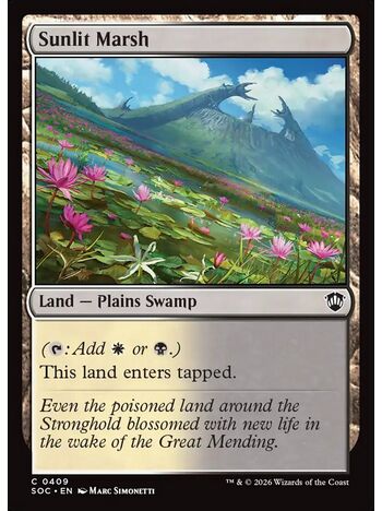 Sunlit Marsh