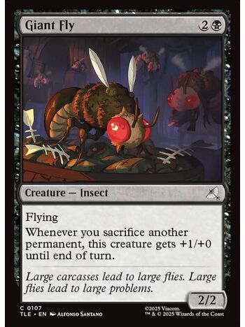 Giant Fly