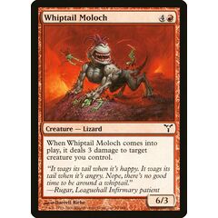 Whiptail Moloch