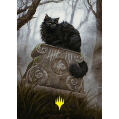 Nine-Lives Familiar // Nine-Lives Familiar (Art Series)