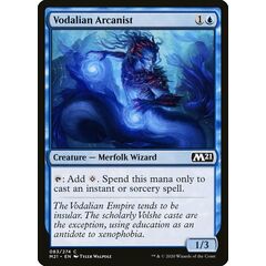Vodalian Arcanist