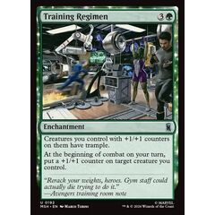 Training Regimen