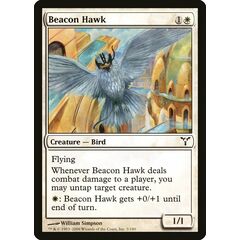 Beacon Hawk