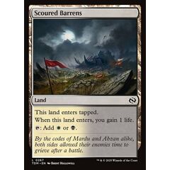 Scoured Barrens