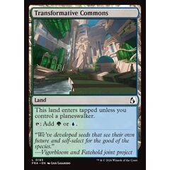 Transformative Commons