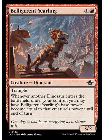 Belligerent Yearling