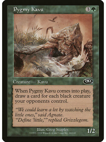 Pygmy Kavu