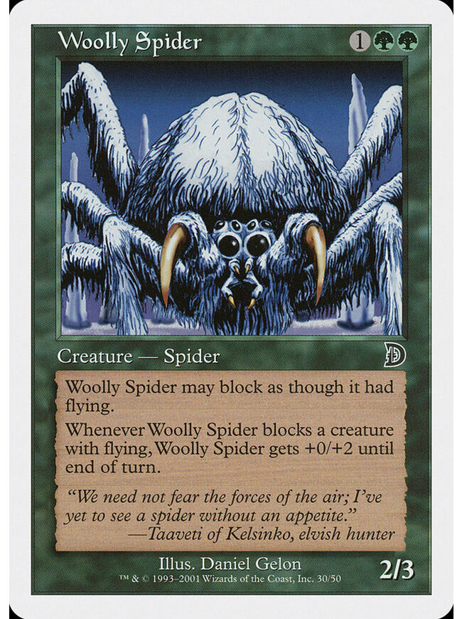 Woolly Spider