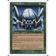Woolly Spider