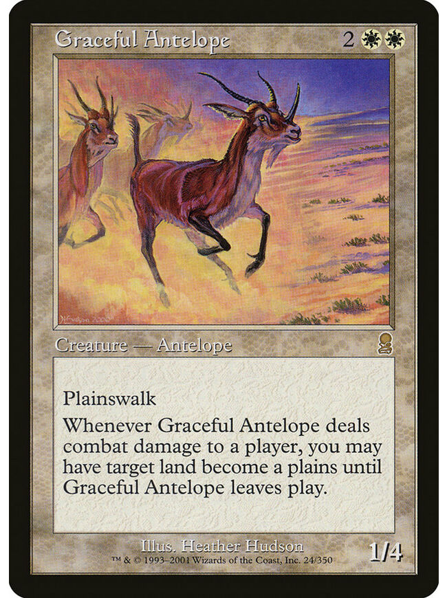 Graceful Antelope