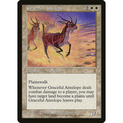 Graceful Antelope